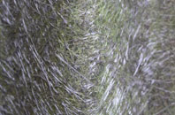 Chapel Cleeve fibreglass roof work